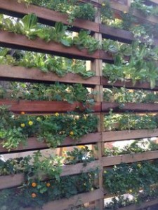 DIY patio privacy screen