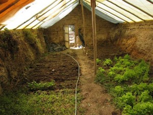 An underground greenhouse or walipini