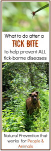 Tick-borne disease prevention